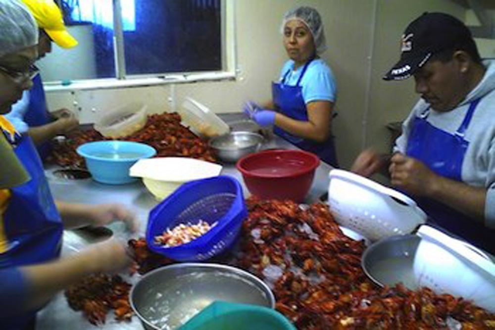 Undocumented Workers in Louisiana's Bayous Organize to Take on Seafood Industry