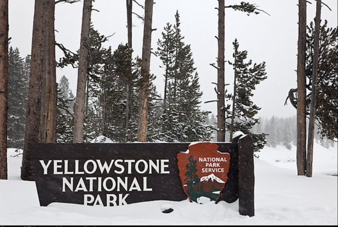 Help Us Cover Union Busting in Yellowstone Park & Montana