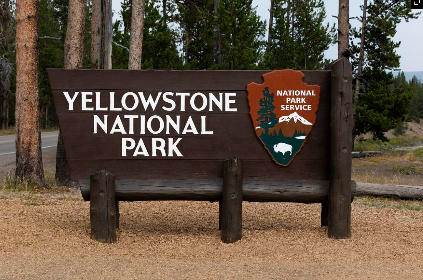 Firings, Evictions, Broken Promises: How Yellowstone Tour Guides Are Building Momentum for Change