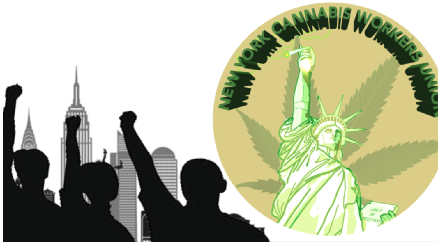 CBD Kratom Fires  NY Cannabis Workers Union Prez